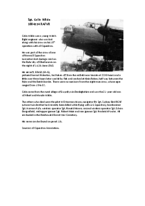 A preview of a PDF biography for Wilde, Colin
